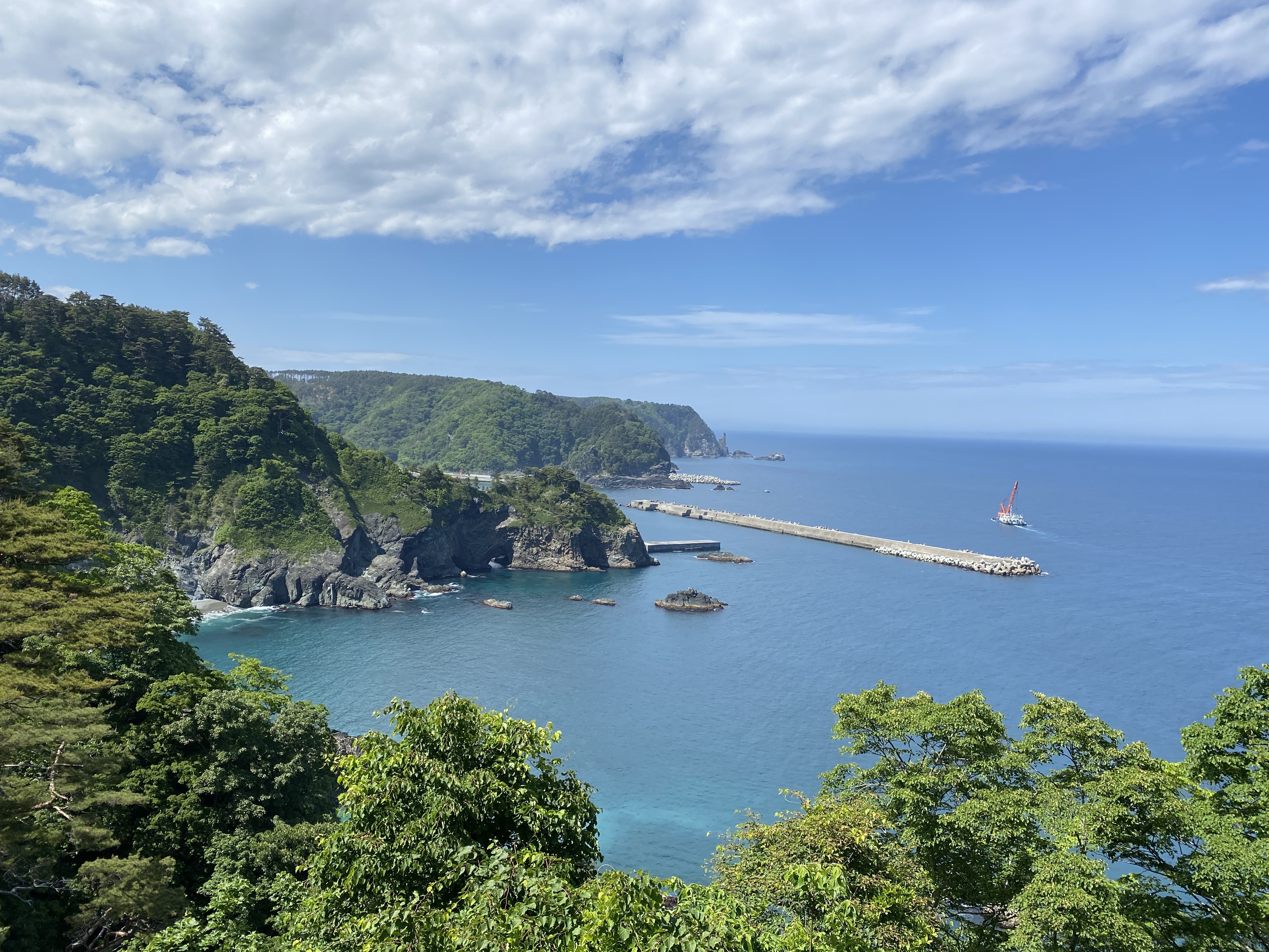 展望台から海岸が一望できる。