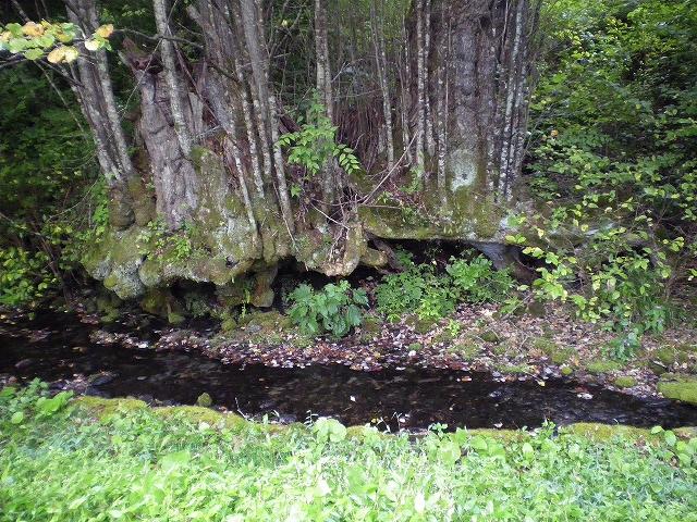 IMGP0936