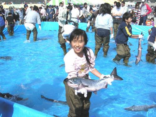 エチゼンクラゲの影響で実施が心配された鮭のつかみどりも、無事行われました