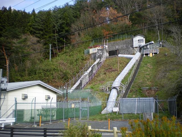 IMGP1268