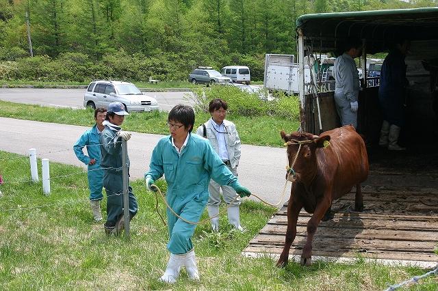YAMAAGE-IMG_8775