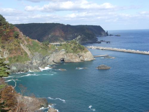 kumanohana