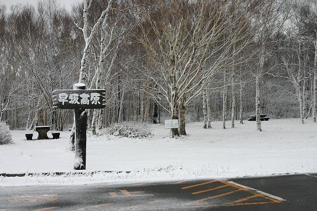 yukinohayasaka-IMG_4868