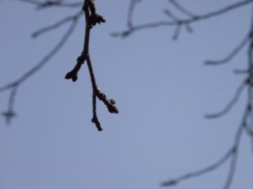 10.03.04.thumbnail1