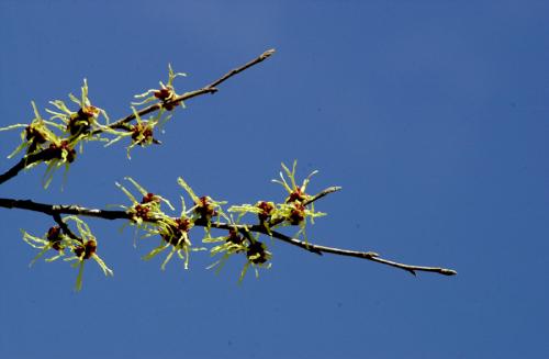 tuned-DSC_0013