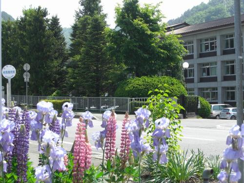 20100607-10
