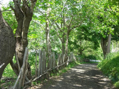 201206 024