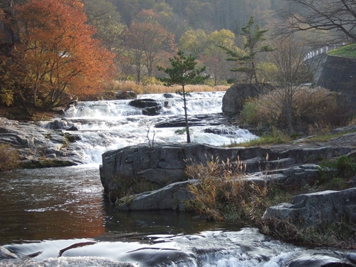 秋の大川七滝の写真。川沿いの木々が紅葉している。
